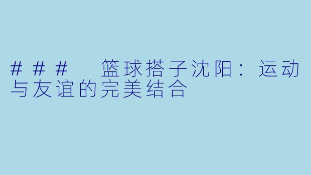 ### 篮球搭子沈阳：运动与友谊的完美结合