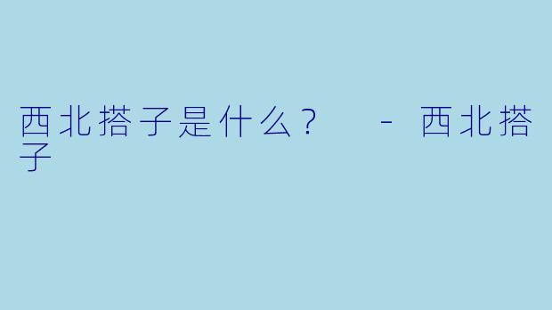 西北搭子是什么？ 