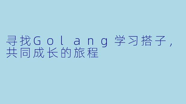 寻找Golang学习搭子，共同成长的旅程