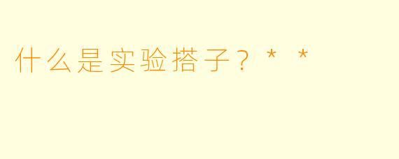 什么是实验搭子？**