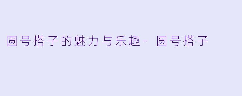 圆号搭子的魅力与乐趣