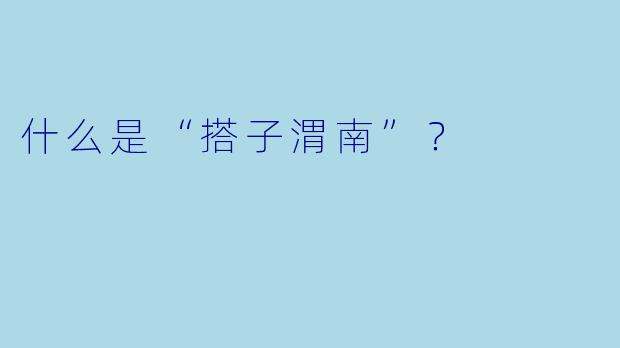 什么是“搭子渭南”？  