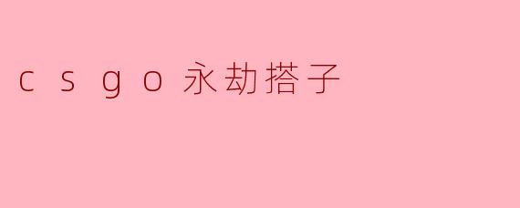 csgo永劫搭子
