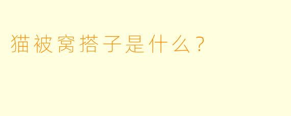猫被窝搭子是什么？  