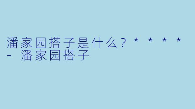 潘家园搭子是什么?****