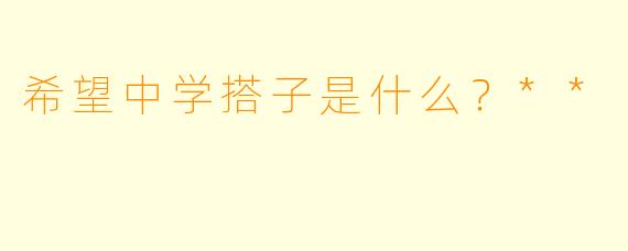 希望中学搭子是什么?**
