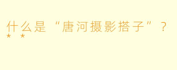 什么是“唐河摄影搭子”？**