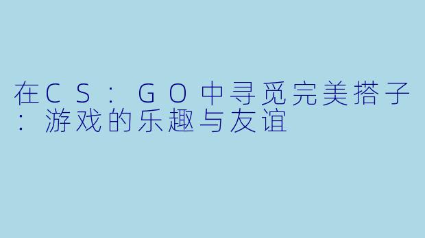 在CS:GO中寻觅完美搭子：游戏的乐趣与友谊