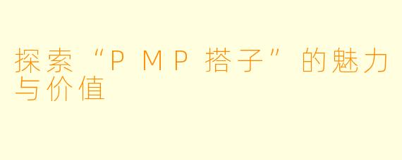 探索“PMP搭子”的魅力与价值
