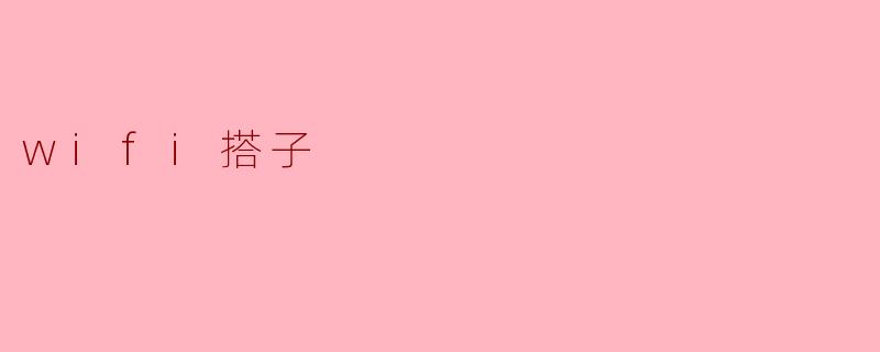 wifi搭子