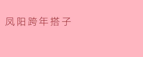凤阳跨年搭子