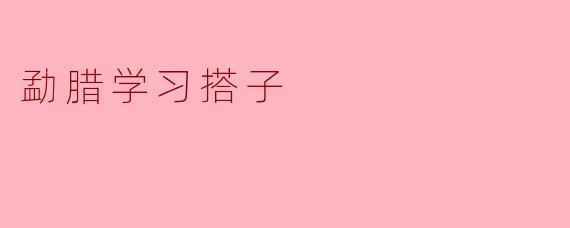 ### 勐腊学习搭子:共同成长的新模式