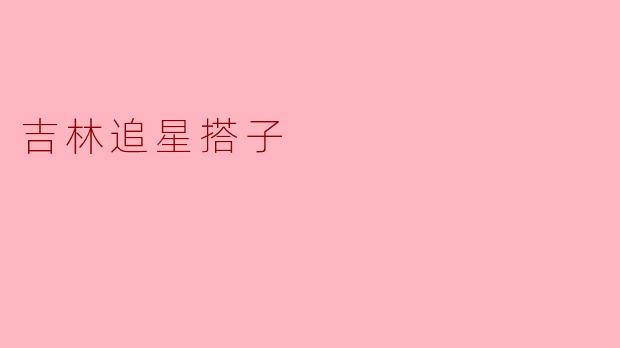 吉林追星搭子