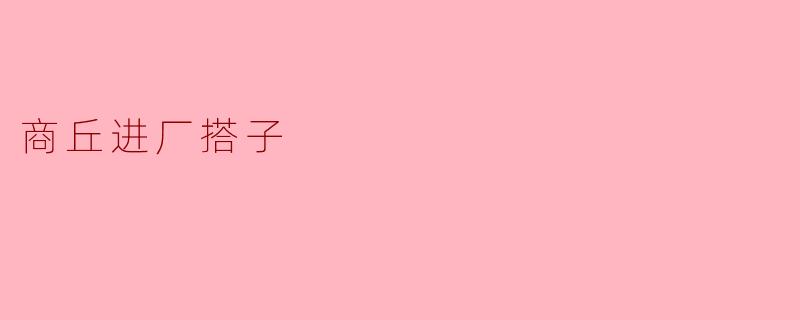 商丘进厂搭子是什么？**