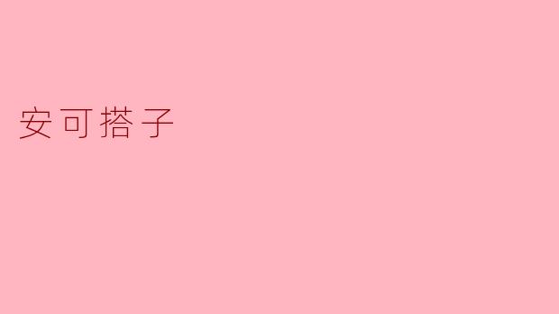 安可搭子