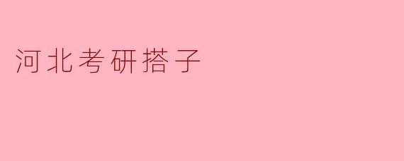 河北考研搭子