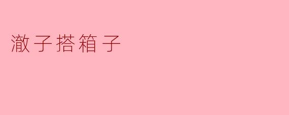 澈子搭箱子