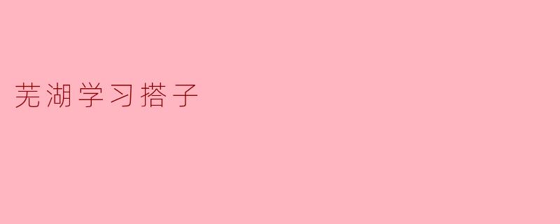 芜湖学习搭子