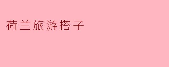 探索荷兰的魅力:寻找你的旅游搭子