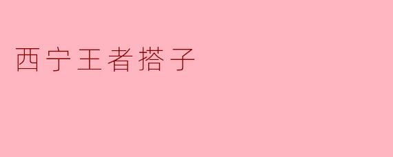 西宁王者搭子是什么？  