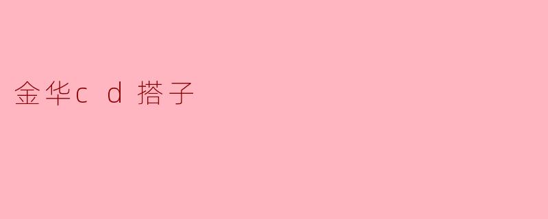 金华cd搭子