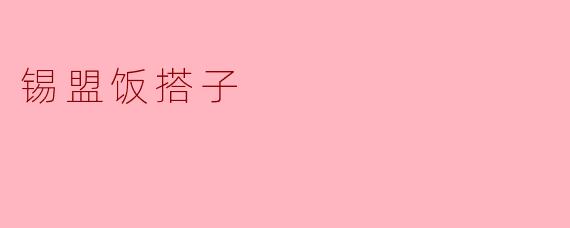 什么是“锡盟饭搭子”？****