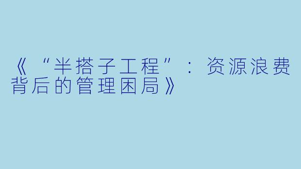 《“半搭子工程”：资源浪费背后的管理困局》