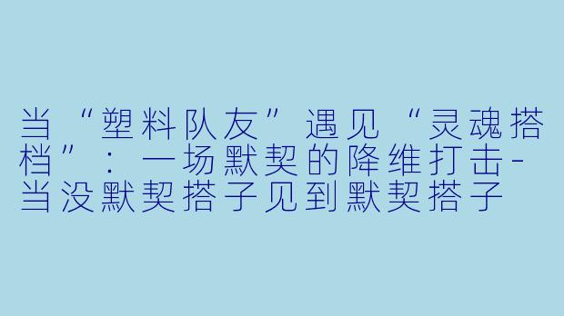 当“塑料队友”遇见“灵魂搭档”：一场默契的降维打击