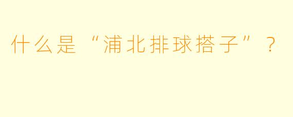 什么是“浦北排球搭子”？