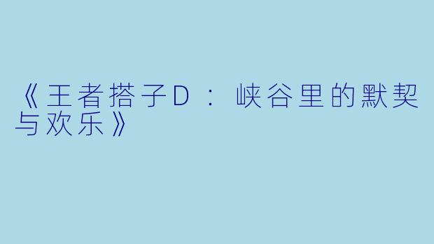 《王者搭子D：峡谷里的默契与欢乐》