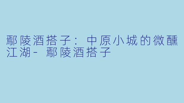 鄢陵酒搭子：中原小城的微醺江湖-鄢陵酒搭子