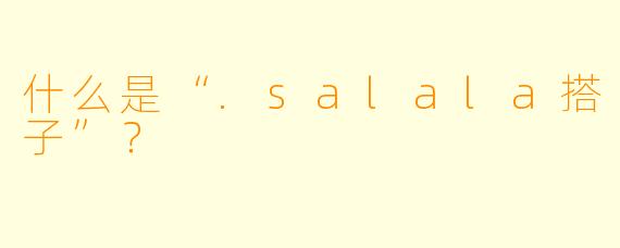什么是“.salala搭子”？