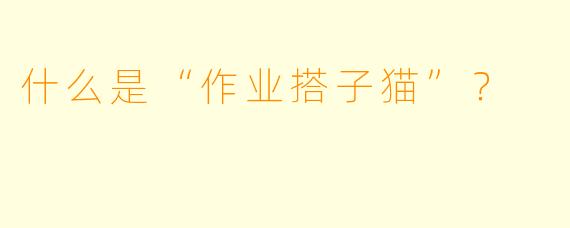 什么是“作业搭子猫”？