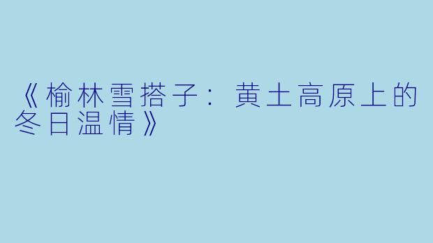 《榆林雪搭子：黄土高原上的冬日温情》