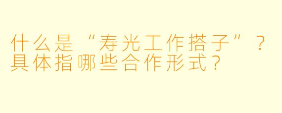 什么是“寿光工作搭子”？具体指哪些合作形式？