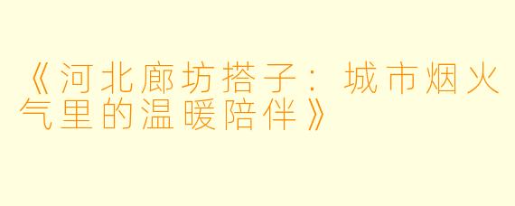 《河北廊坊搭子：城市烟火气里的温暖陪伴》