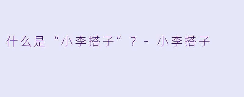 什么是“小李搭子”？-小李搭子