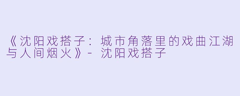 《沈阳戏搭子：城市角落里的戏曲江湖与人间烟火》-沈阳戏搭子