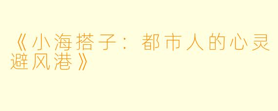 《小海搭子：都市人的心灵避风港》