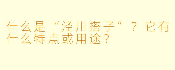 什么是“泾川搭子”？它有什么特点或用途？