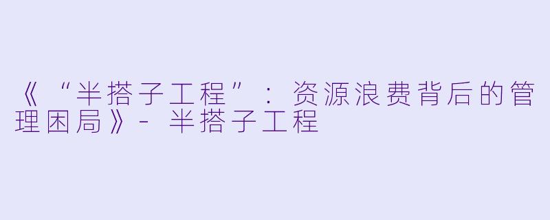 《“半搭子工程”：资源浪费背后的管理困局》-半搭子工程