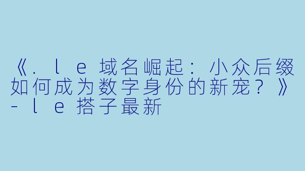 《.le域名崛起:小众后缀如何成为数字身份的新宠?》