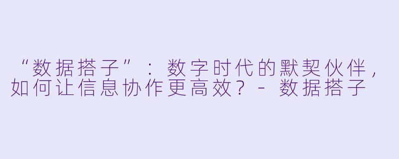 “数据搭子”：数字时代的默契伙伴，如何让信息协作更高效？-数据搭子