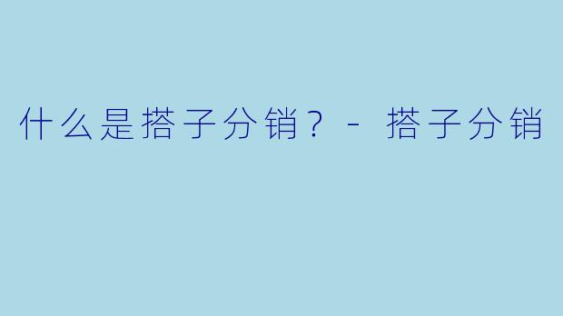 什么是搭子分销？-搭子分销