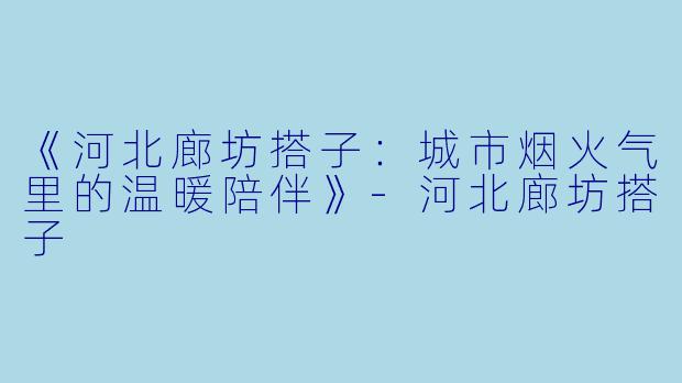 《河北廊坊搭子：城市烟火气里的温暖陪伴》-河北廊坊搭子