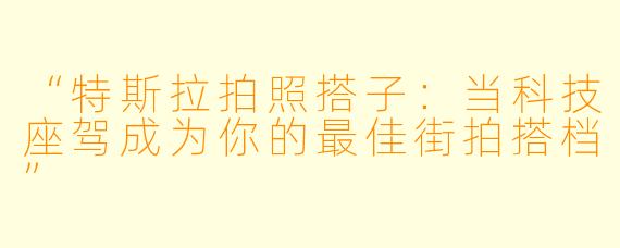 “特斯拉拍照搭子：当科技座驾成为你的最佳街拍搭档”