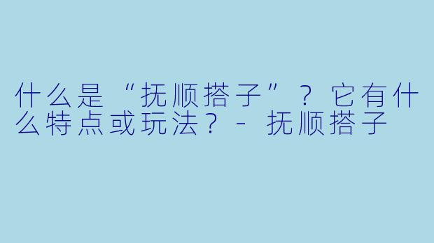 什么是“抚顺搭子”？它有什么特点或玩法？-抚顺搭子