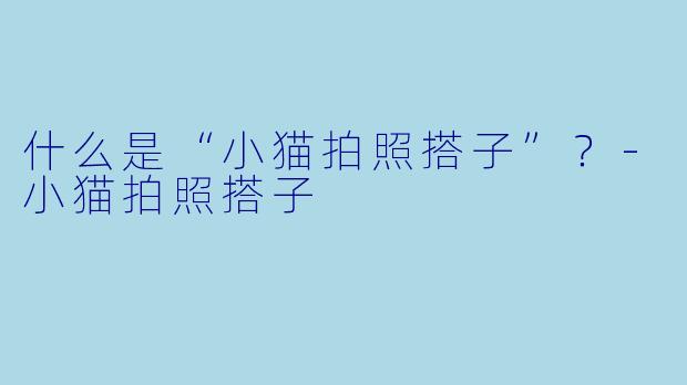 什么是“小猫拍照搭子”？-小猫拍照搭子