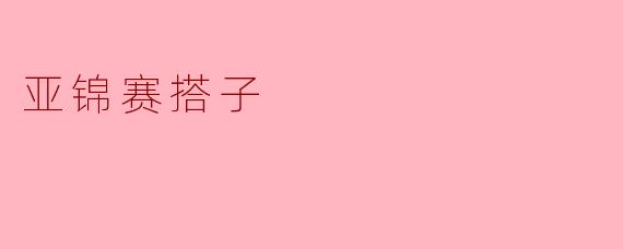 亚锦赛搭子