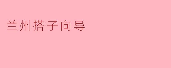 兰州搭子向导